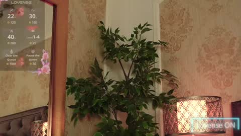 JaneDevine online show from December 18, 2024, 10:08 am