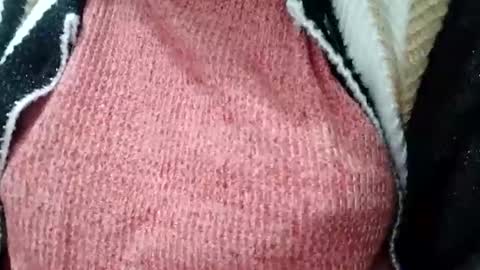 Snapshot of jasspreettt chatting on February 1, 2025, 1:55 am jasspreettt online show from February 1, 2025, 1:55 am