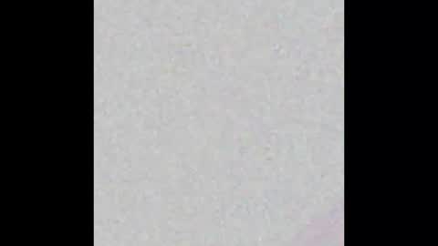 Javier online show from February 9, 2025, 3:00 am