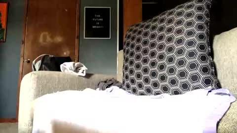 Jaws  online show from September 10, 2025, 7:25 pm