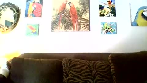 Snapshot of jay_jay1475 chatting on November 17, 2025, 6:46 pm jay-jay1475 online show from November 17, 2025, 6:46 pm