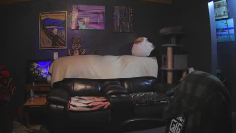 Grand Zaddy or Jay its casual online show from March 15, 2026, 5:13 am