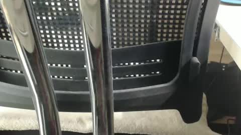 jc200000 online show from February 17, 2025, 6:37 pm