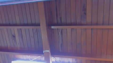 Snapshot of jeicob_gagnon chatting on February 21, 2025, 4:16 pm jeicob gagnon online show from February 21, 2025, 4:16 pm