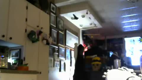 Jello9 online show from July 20, 2026, 1:24 pm