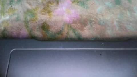 jenifer_91 online show from December 31, 2024, 2:08 am