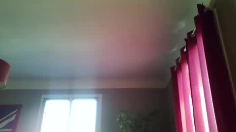 jerflor online show from April 17, 2026, 1:58 pm