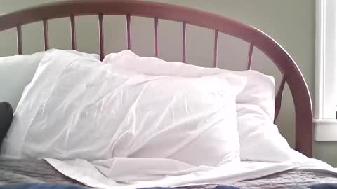 jerkingmanforyou online show from March 15, 2026, 1:39 pm