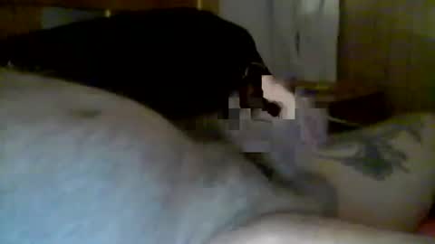 jerkmate6666 online show from January 13, 2025, 10:14 am