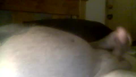 jerkmate6666 online show from April 21, 2026, 11:49 am