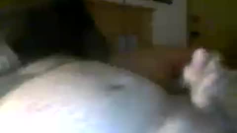 jerkmate6666 online show from July 20, 2026, 6:28 am