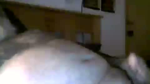 jerkmate6666 online show from August 4, 2026, 8:39 am