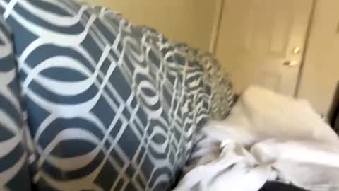 Jerkstar16 online show from December 5, 2024, 6:00 pm