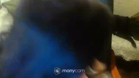 jessjess4you online show from February 15, 2025, 11:47 pm