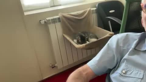 Snapshot of jewlronny chatting on May 7, 2026, 12:10 pm jewlronny online show from May 7, 2026, 12:10 pm