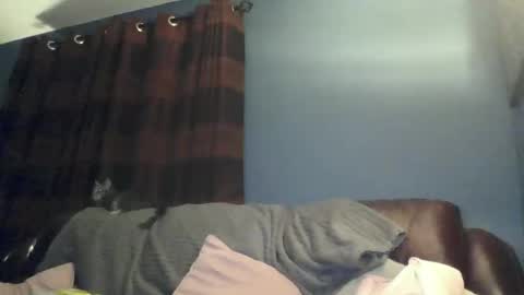 jilfyj online show from March 15, 2026, 12:49 am