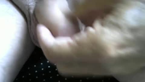 jimismiles online show from October 7, 2025, 6:16 pm