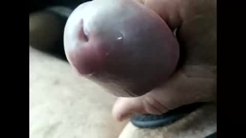 Snapshot of jjbanks5721928 chatting on February 22, 2026, 10:52 pm jjbanks5721928 online show from February 22, 2026, 10:52 pm