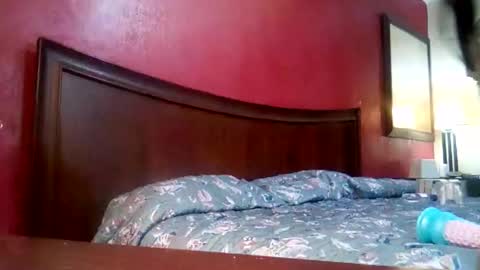 jmbaby online show from December 4, 2024, 2:59 pm