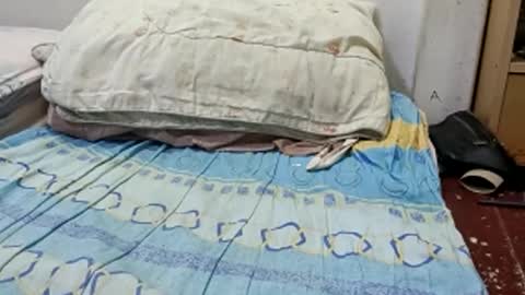 joe_bp89470 online show from January 5, 2026, 5:27 pm