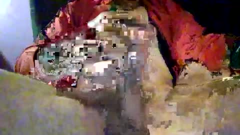 Snapshot of joe_says_hi chatting on November 16, 2025, 8:58 pm joe_says_hi online show from November 16, 2025, 8:58 pm