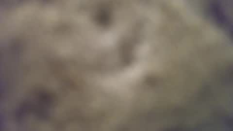 Snapshot of joemomma612 chatting on October 14, 2025, 3:40 am joemomma612 online show from October 14, 2025, 3:40 am