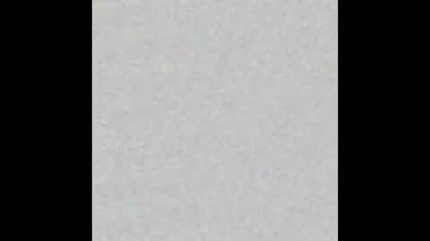 joey1smart online show from March 19, 2026, 2:37 am