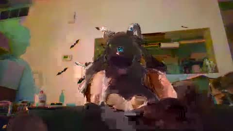 johnnyadepth online show from November 1, 2025, 1:07 am