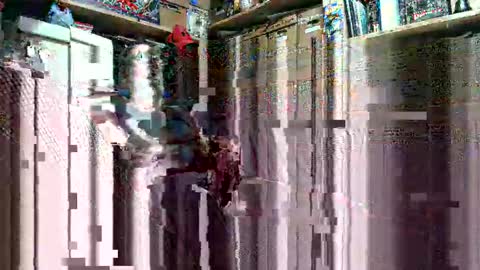 jonathan1982jch online show from September 25, 2025, 8:51 am