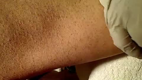 Jon online show from January 24, 2025, 6:46 am