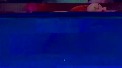 jooshi1981 online show from February 12, 2026, 5:13 am