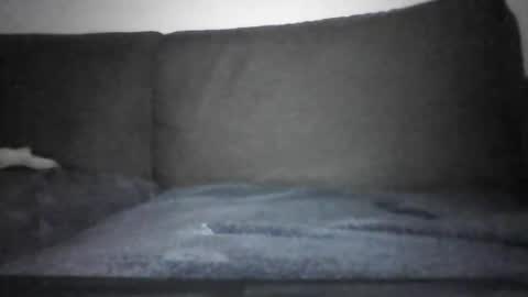 Hentai Jo online show from December 12, 2024, 7:15 pm