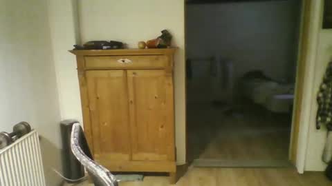 Josesan online show from March 11, 2025, 8:41 am