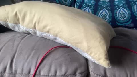 Snapshot of joshperrygoon chatting on December 19, 2024, 7:29 pm joshperrygoon online show from December 19, 2024, 7:29 pm