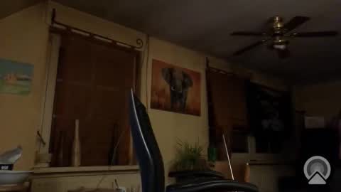 jott604214 online show from March 8, 2026, 8:23 pm