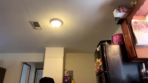 Assholelover online show from February 27, 2025, 6:31 pm