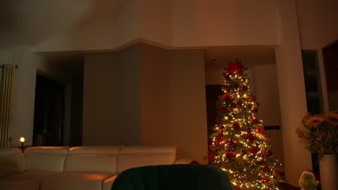 Jennifer Diaz online show from December 13, 2024, 8:37 pm