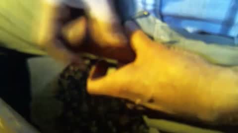 jt335577 online show from January 27, 2025, 7:46 pm