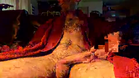 jujusbzh online show from February 23, 2025, 8:06 am