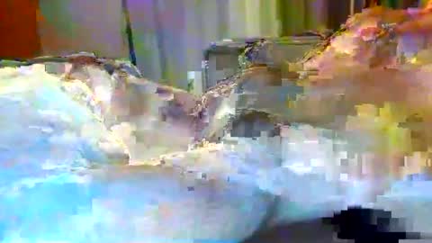 julien3327 online show from February 26, 2026, 10:31 pm