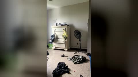 junosphboi online show from April 3, 2026, 3:32 pm