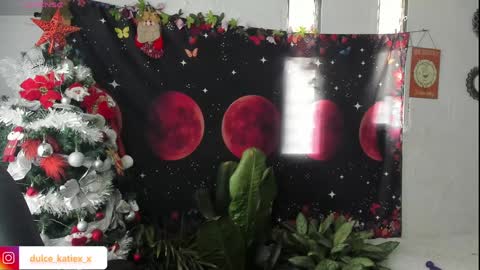 Snapshot of just_katiex chatting on December 31, 2024, 9:28 pm Sofia online show from December 31, 2024, 9:28 pm