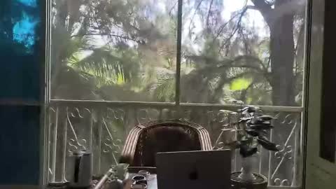 just_place online show from December 2, 2025, 6:19 am