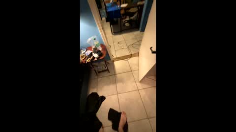 BIGDICKJOHNNY online show from December 28, 2024, 12:57 am