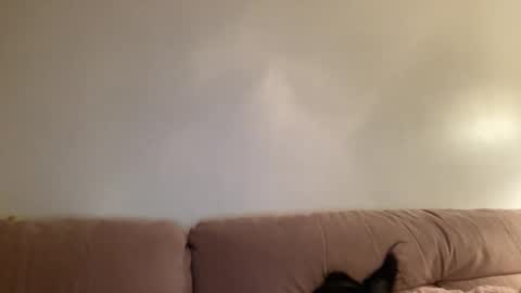 Jess online show from March 2, 2026, 4:36 am