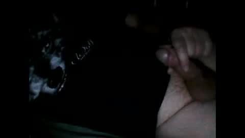 Snapshot of justpervfun chatting on December 8, 2024, 6:39 pm justpervfun online show from December 8, 2024, 6:39 pm