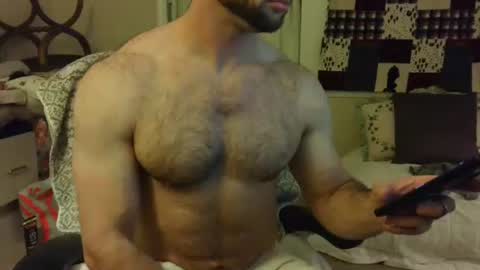 Wolf online show from February 7, 2025, 2:50 am