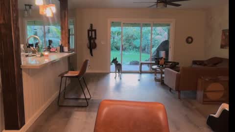 Kailee Smile online show from March 21, 2026, 4:28 am