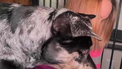 Kailee Smile online show from March 29, 2026, 4:45 am