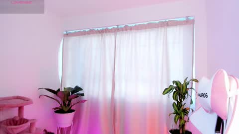 Snapshot of kali_ka chatting on February 19, 2025, 12:22 pm Kali Ka Please help me with your thumbs up its important dont forget my birthday on October 26 online show from February 19, 2025, 12:22 pm